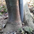 광시농장 이미지