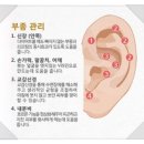 레사뷰티 - 파주시 경의로 1246 | 레사뷰티