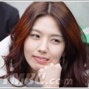 불새 Daum카페