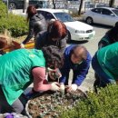 용산2동행정복지센터 이미지