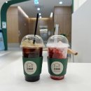 아름다운동물병원 | 대전 무료 애견운동장 추천, 시설 끝판왕 금고동 반려동물공원