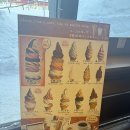 가자소프트 | 오타루 아이스크림 추천 | 기타이치유리관 레인보우 8단 소프트크림 후기