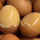 산골보리밥 이미지