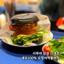 1986감성술집 | 회기 점심 추천 1986시부야버거 경희대 수제버거 맛집 솔직후기