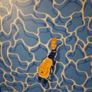 플러플리 FLUFFLY 이미지