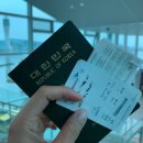 2020-629 | 발리 여행 디지털노마드 한달살이 준비 3가지 (관광세, 도착비자, 전자세관신고서)