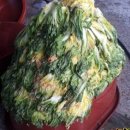 이여사맛집 이미지