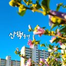 옥곡동 강변도로 이미지