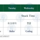 피엘에스 (PLS)
