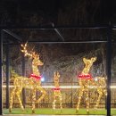 바비애견풀빌라 이미지