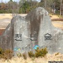 천년숲 유아숲체험원 이미지