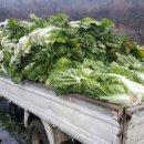 시헌농장 이미지