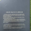 둥이카 | 렌트카로 괌 투어 자유 여행 후기 스페인광장 에메랄드밸리 솔레다드요새