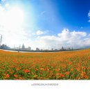 강변체육공원 이미지