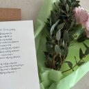 잇츠보자기 | 청첩장 샘플 후기 | 보자기카드, 잇츠카드, 바른손카드 비교 (실물 느낌)