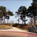 둔산 선사유적지 이미지