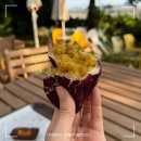 월천농장 | 강화도 가볼만한 곳 시골농부 쌀베이커리 카페 고구마빵