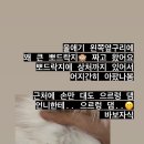 세온동물병원 이미지