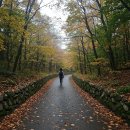 스마트폰 배워서 손주랑 SNS 소통하기 | 🌱 나만의 '건강 포트폴리오'로 활력 넘치는 60대를 만드는 방법