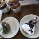 썬 어게인 SUN AGAIN 이미지