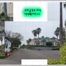 신효동-17 이미지