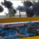 해동횟집 이미지