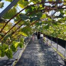 아이클유치원 이미지