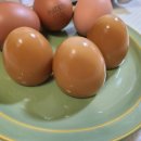 에그린농장 이미지