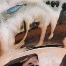 우리셀프세차타운 이미지