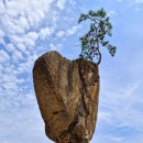 송지호 해수욕장 이미지