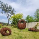 강인옥 | 천안 아산 대형카페 모나밸리 카페 더 그린 본점 가족들에게 칭찬받은 후기 (주차 포함, 공연정보)