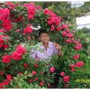 정구농장 이미지