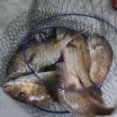 뚜루실내바다낚시터 이미지