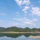 게으른 악어 이미지