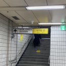 백만년만에 머리했다! _신대방삼거리역 미용실 '엘루아 헤어'