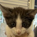 소담동물병원 이미지