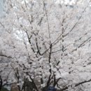다리목근린공원