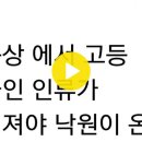 20170720 154811지구상에서 고등동물인 인류가 없어져야 낙원이 온다 이미지