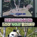 네포베이비 논란 있는 드라마 사마귀 출연배우(feat.루이바오🐼) 이미지