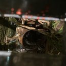 충청남도 천안시종합운동장 이미지