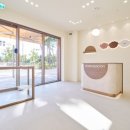 몽애견미용실 이미지