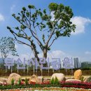 부산시민공원 이미지