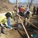 부곡투우장 뉴시스