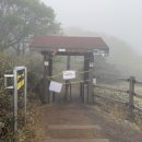 뮤피 | 한라산 나 죽을뻔 햇다