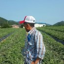 신토불이 이미지