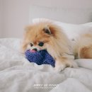 멍박스 이미지