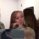 The Ark(디아크) 이미지