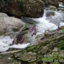 추성마을 이미지