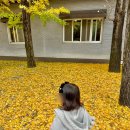 폰타나커피 | 대구 은행나무 카페, 가창 은행나무 카페 [폰타나커피] 후기, 실시간