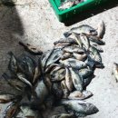 정훈농장2 이미지